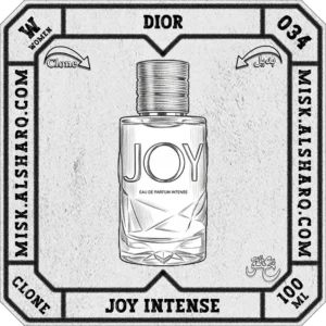 W.034-Clone-Dior-Joy-Intense-For Women