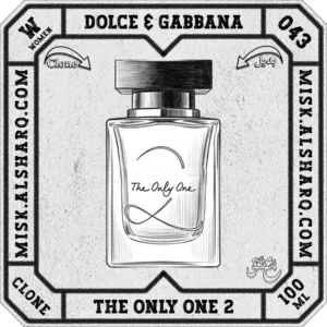 W.043-Clone-Dolce-and-Gabbana-The-Only-One-For Women