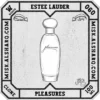 W.060-Clone-Estee-Lauder-Pleasures-For Women