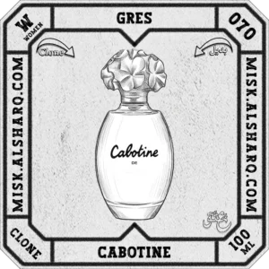W.070-Clone-Gres-Cabotine-For Women
